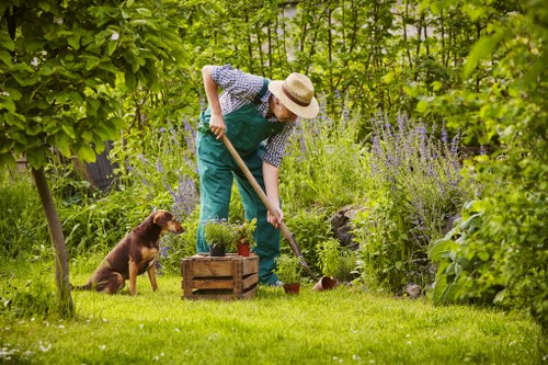 Landscaping a Battersea garden with paving and planting