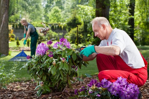 SSL encrypted Landscaping Battersea payment processing on a secure page