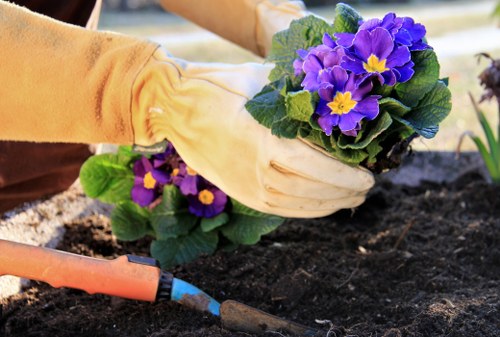 Risk assessment planning for a landscaping project