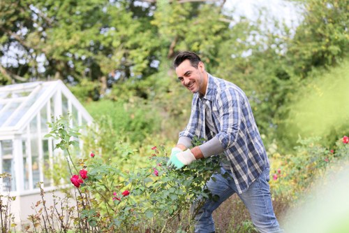 Screen-reader friendly Battersea landscaping information
