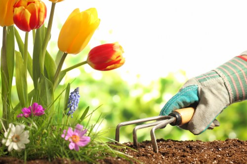 Free quote policy for Battersea landscaping services