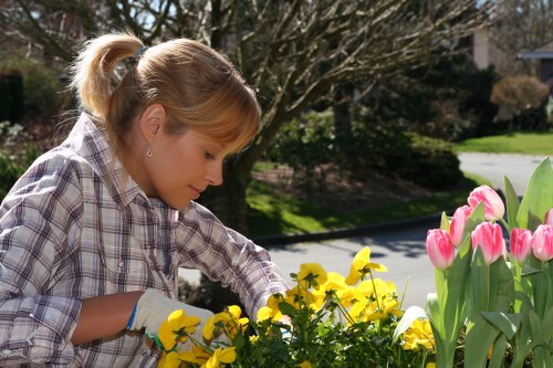 Hard landscaping improvements for a Battersea front or rear garden